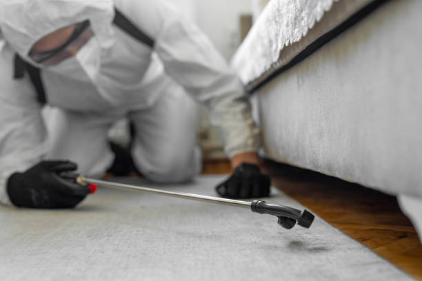 Professional Bed Bug Control technician working in Halesite, NY