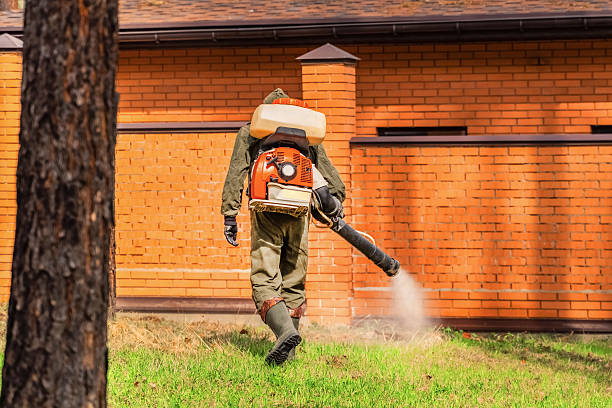 Trusted Bed Bug Control service in Halesite, NY - Nex Pest Control